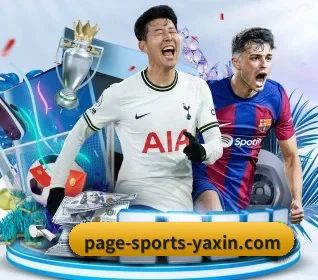 亚新体育 APP 界面（yaxin）
